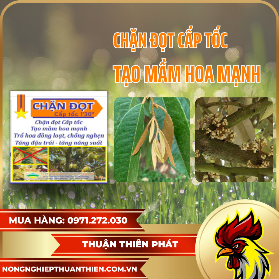 AT-MADURACION nongnghiepthuanthien.com.vn AT-MADURACION nongnghiepthuanthien.com.vn