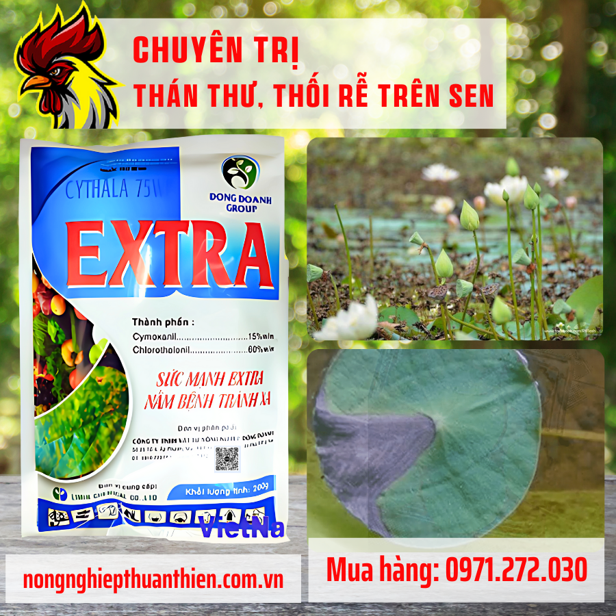 CYTHALA 75WP – HIỆU EXTRA CYTHALA 75WP – HIỆU EXTRA